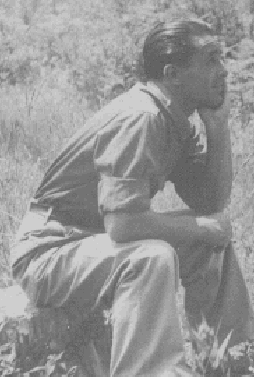 Leaning, Austria img_lean